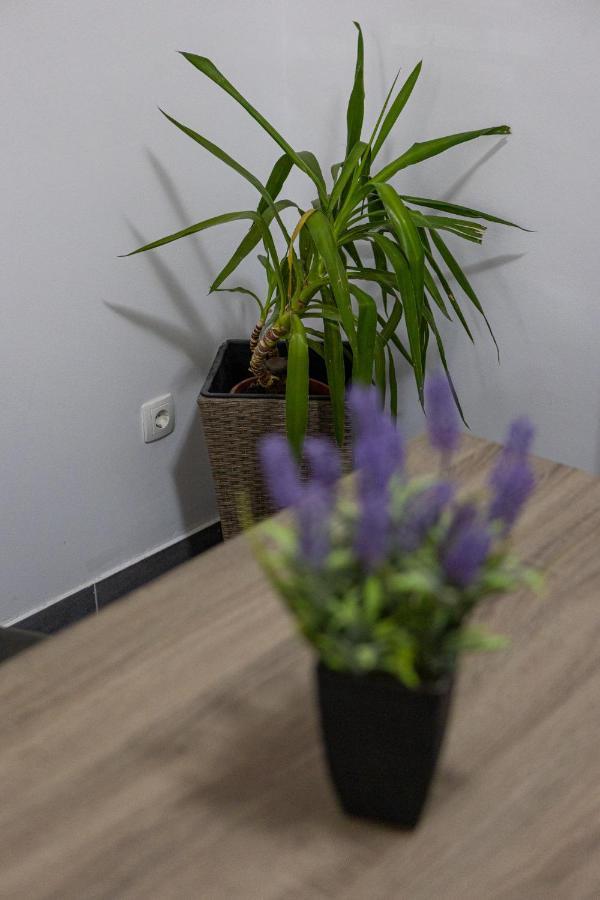 Apartman Toni Split Bagian luar foto